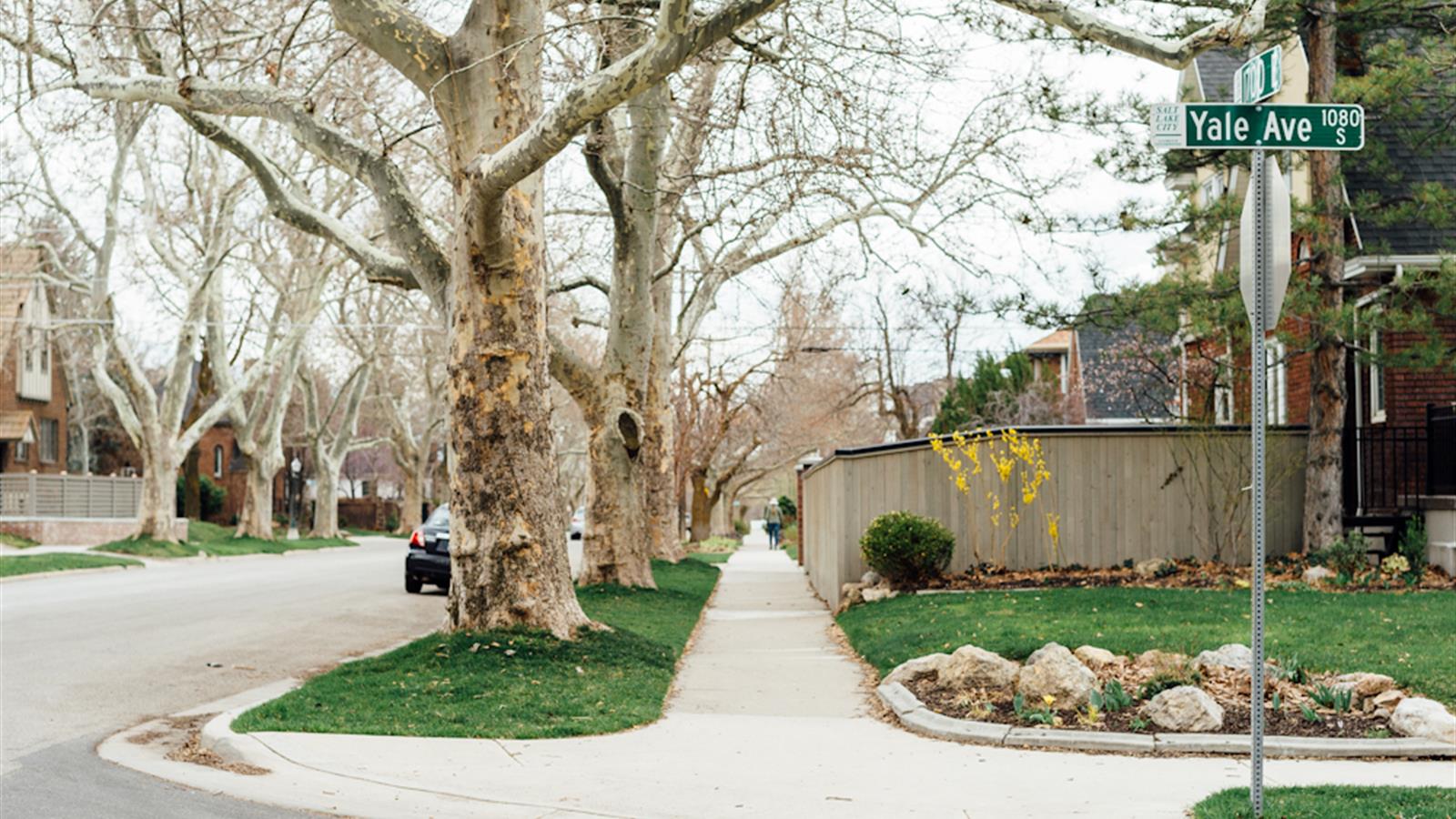 Harvard & Yale cityhomeCOLLECTIVE